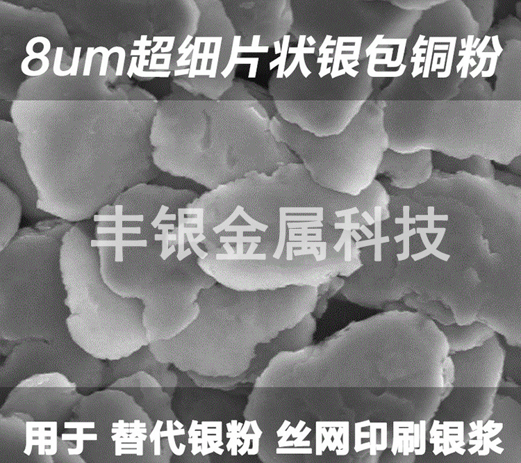 廠家直銷片狀銀包銅粉EMI導電粉體FY-Q250鍍銀銅用于屏蔽膜導電漆